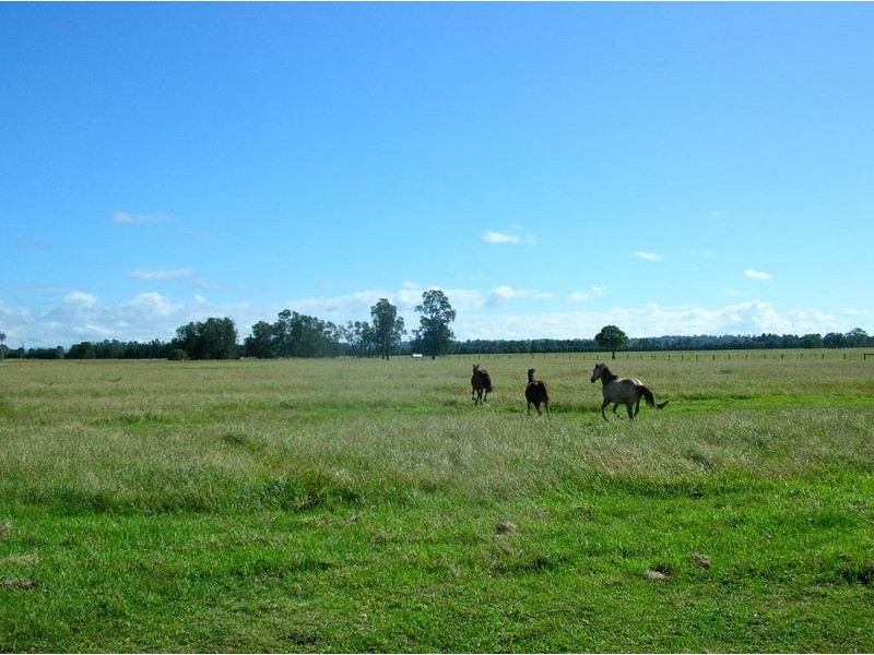 Codrington NSW 2471