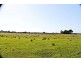 Codrington NSW 2471