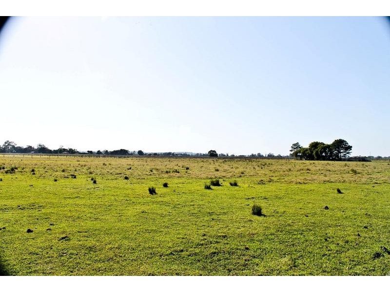 Codrington NSW 2471