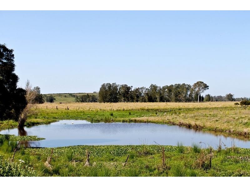 Codrington NSW 2471