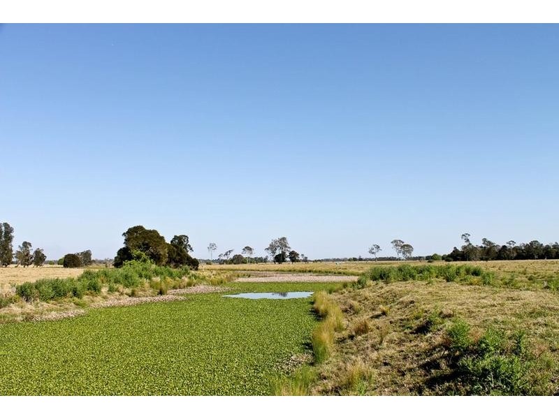 Codrington NSW 2471