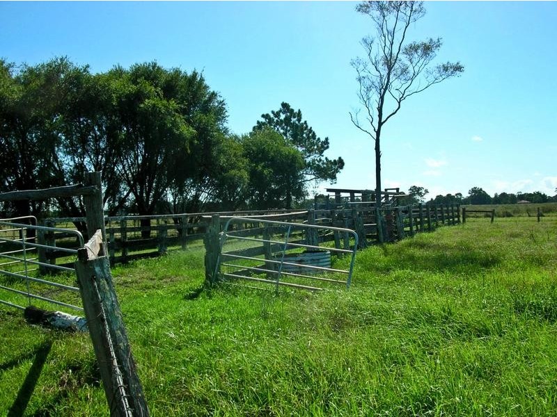 Codrington NSW 2471