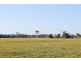 Codrington NSW 2471