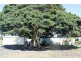 Codrington NSW 2471