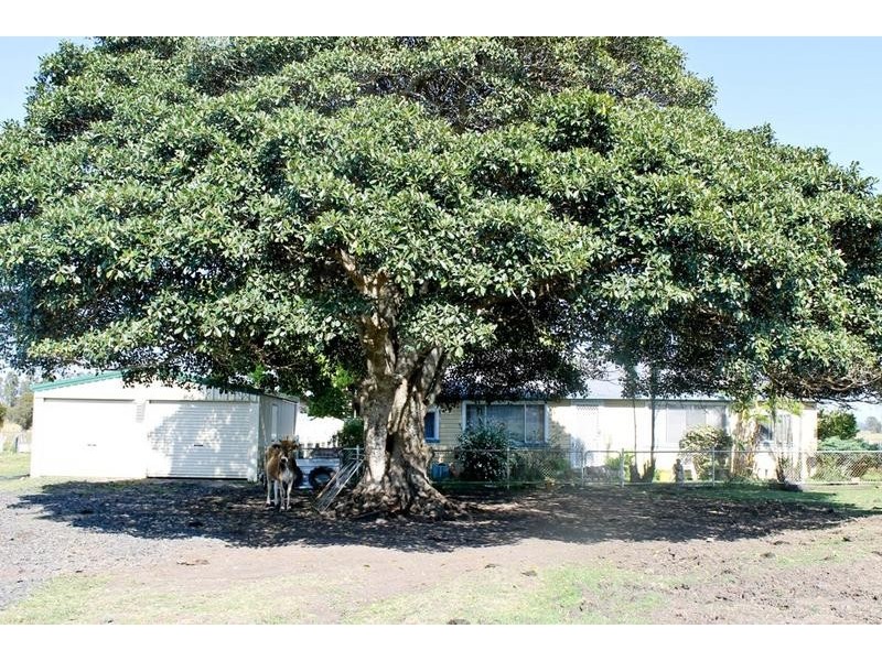 Codrington NSW 2471