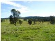 1238 Wyrallah Road, Wyrallah NSW 2480