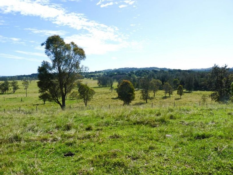 1238 Wyrallah Road, Wyrallah NSW 2480