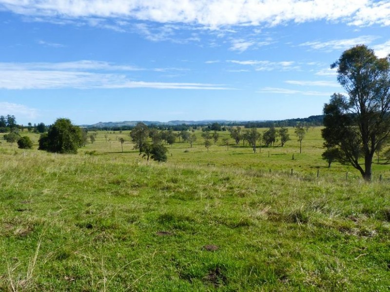1238 Wyrallah Road, Wyrallah NSW 2480