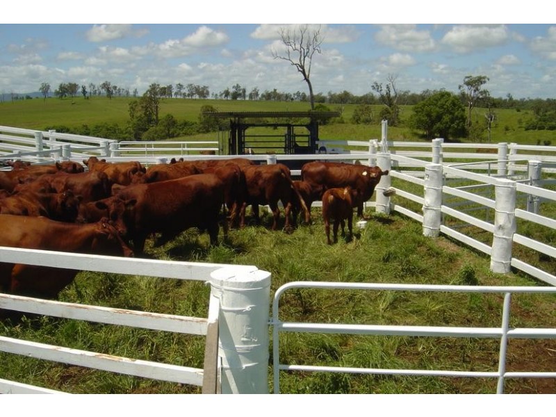 250 Upper Stratheden Road, Stratheden NSW 2470