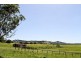 76 McInnes Road, Mckees Hill NSW 2480
