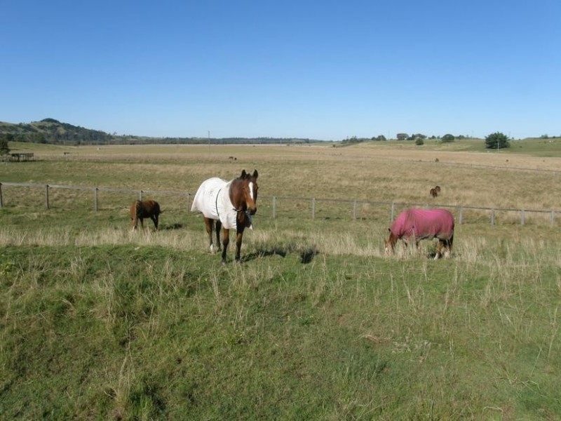 76 McInnes Road, Mckees Hill NSW 2480