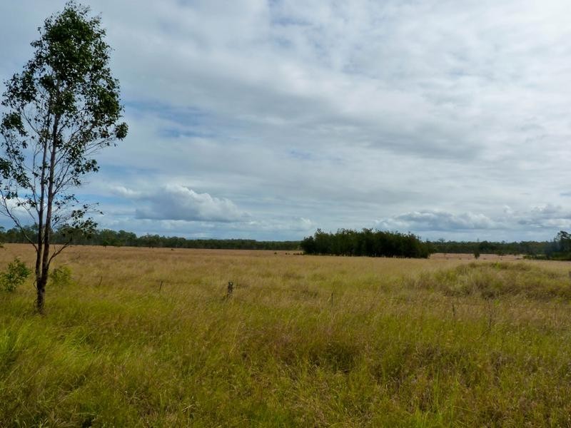 Lot 11, 1610 Ellangowan Road, Ellangowan NSW 2470