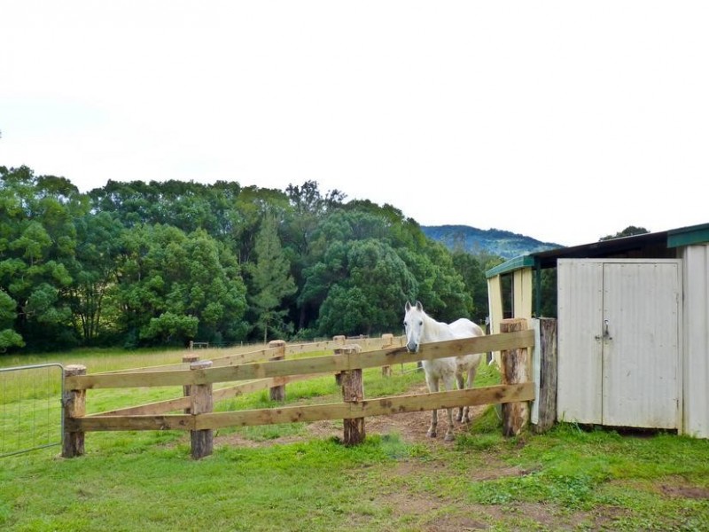 101 Cullen Street, Nimbin NSW 2480