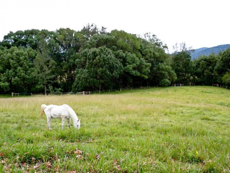 101 Cullen Street, Nimbin NSW 2480