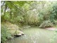 101 Cullen Street, Nimbin NSW 2480