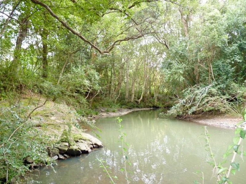 101 Cullen Street, Nimbin NSW 2480