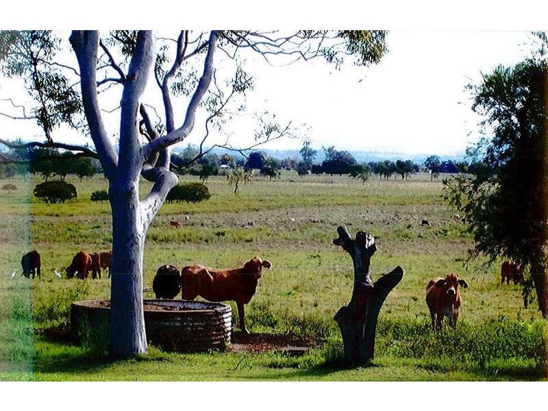 55 High Street, Casino NSW 2470