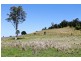 411 Jiggi Road, Goolmangar NSW 2480