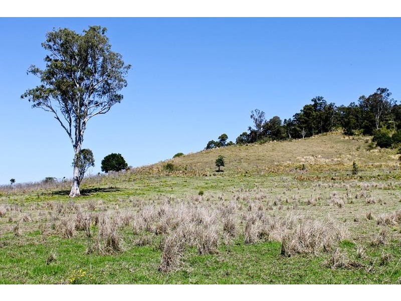 411 Jiggi Road, Goolmangar NSW 2480