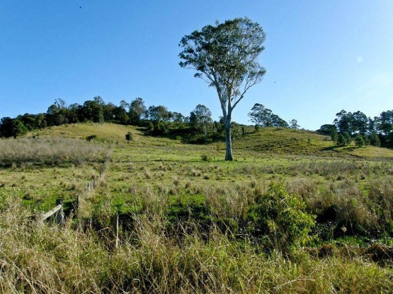 411 Jiggi Road, Goolmangar NSW 2480