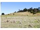 411 Jiggi Road, Goolmangar NSW 2480