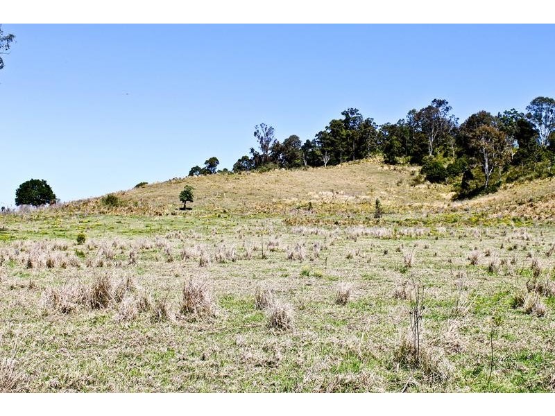 411 Jiggi Road, Goolmangar NSW 2480
