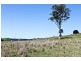 411 Jiggi Road, Goolmangar NSW 2480