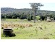 411 Jiggi Road, Goolmangar NSW 2480