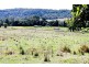 411 Jiggi Road, Goolmangar NSW 2480