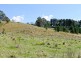 411 Jiggi Road, Goolmangar NSW 2480