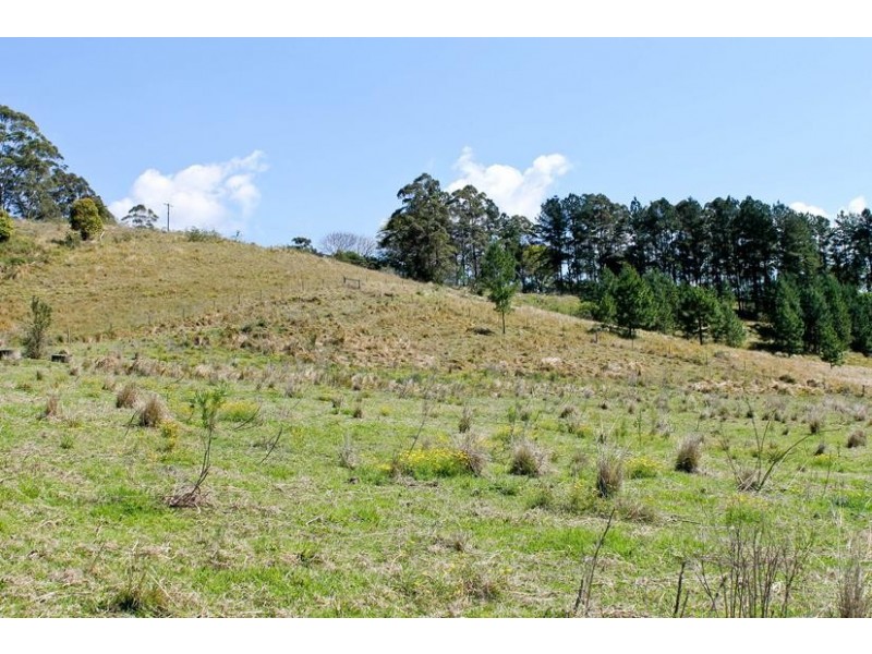 411 Jiggi Road, Goolmangar NSW 2480