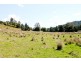 411 Jiggi Road, Goolmangar NSW 2480