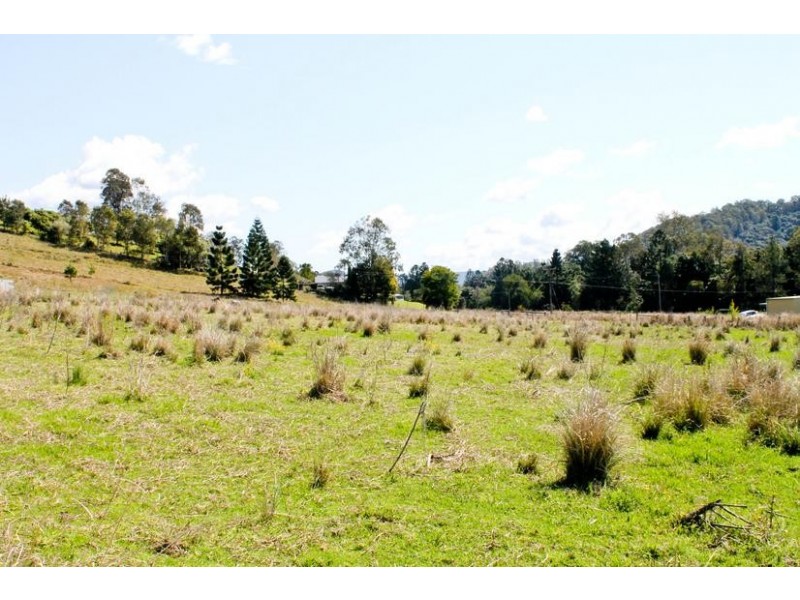 411 Jiggi Road, Goolmangar NSW 2480