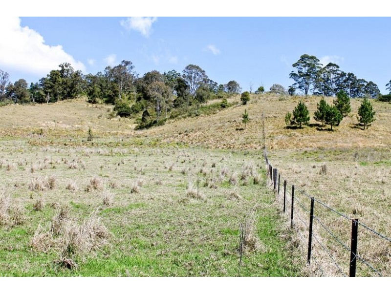 411 Jiggi Road, Goolmangar NSW 2480