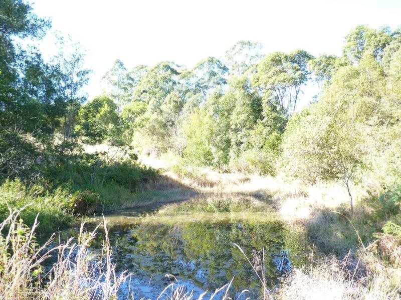 373 Lillian Rock Road, Lillian Rock NSW 2480