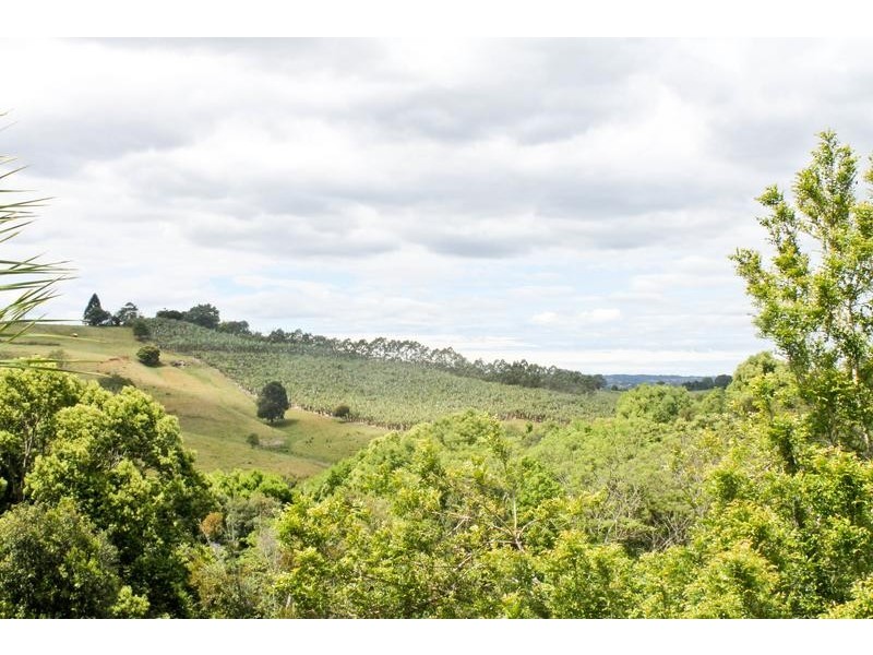 15 Henderson Place, Modanville NSW 2480