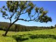 Lot 2-11, 97 Oxbow Road, Cawongla NSW 2474