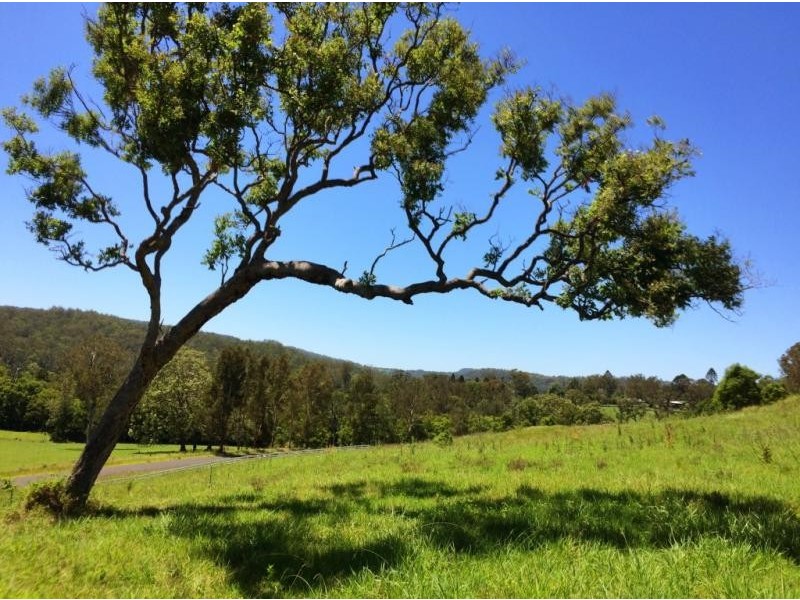 Lot 2-11, 97 Oxbow Road, Cawongla NSW 2474