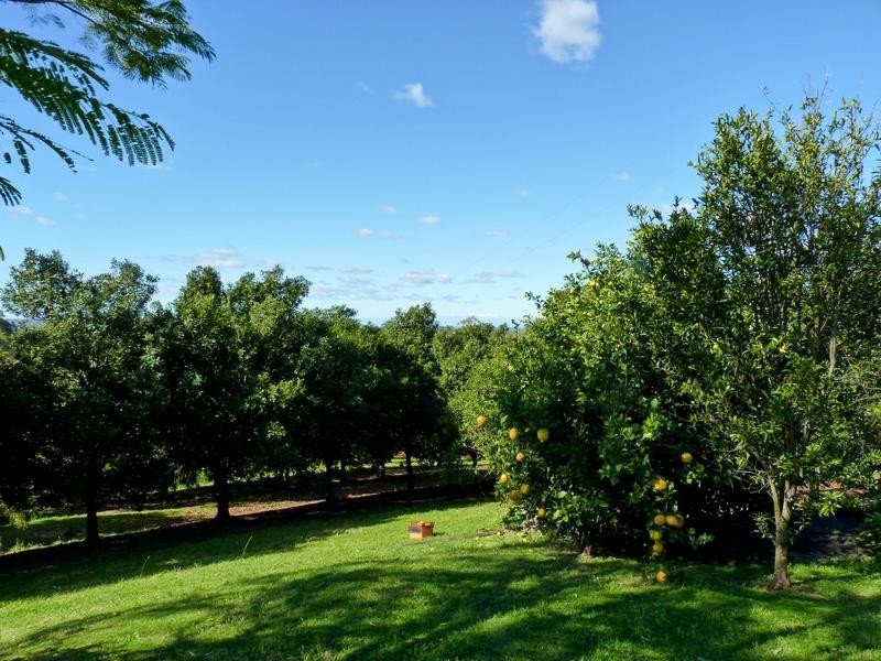 403 Fredericks Road, Caniaba NSW 2480