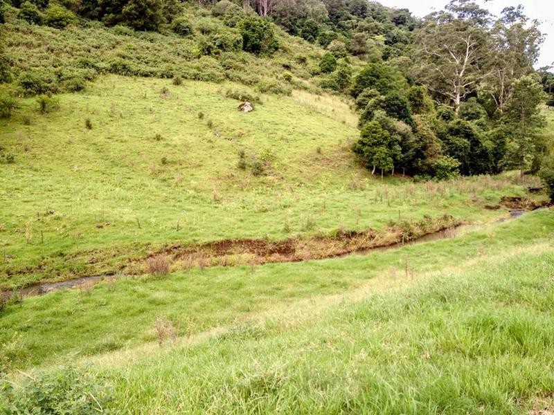 205 Yeager Road, Leycester NSW 2480