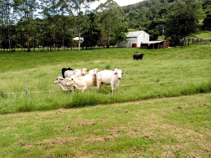 205 Yeager Road, Leycester NSW 2480