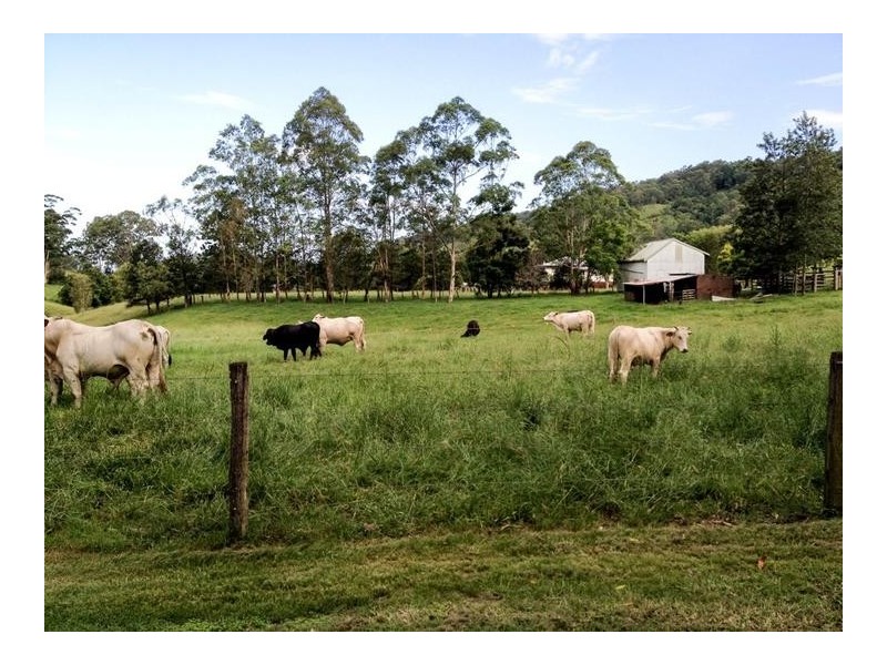 205 Yeager Road, Leycester NSW 2480