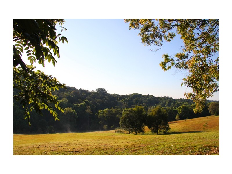 60 Fairview Road, Rosebank NSW 2480