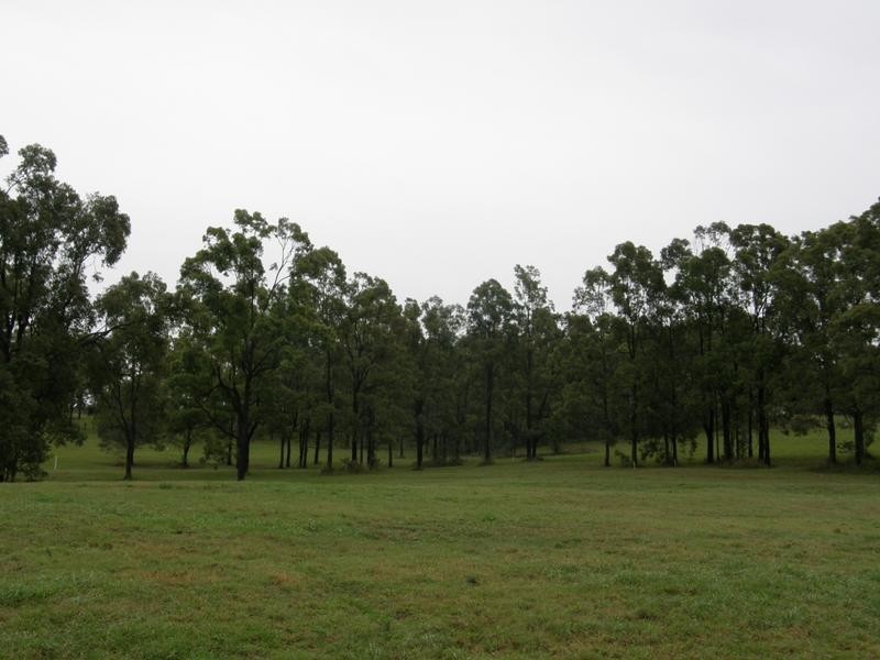Spring Grove NSW 2470