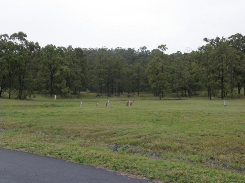 Spring Grove NSW 2470