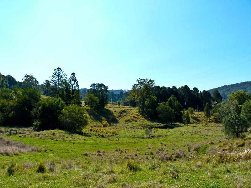 9 Bertoli Road, Jiggi NSW 2480