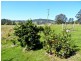 9 Bertoli Road, Jiggi NSW 2480