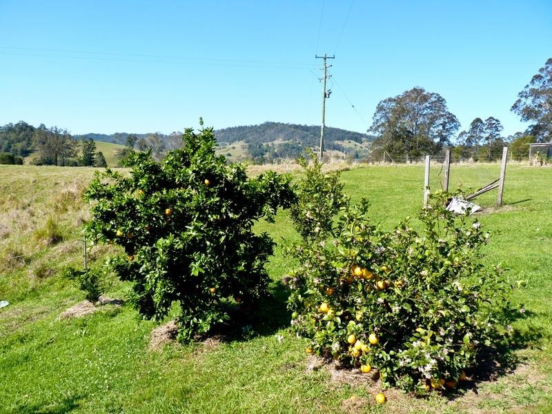 9 Bertoli Road, Jiggi NSW 2480