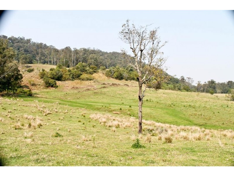 143B Bungabbee Road, Bentley NSW 2480