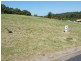 Lot 352,  Joy Street, Goonellabah NSW 2480